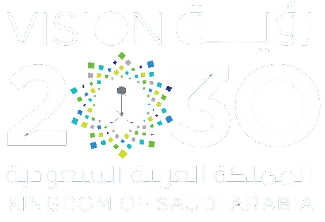 saudi vision
